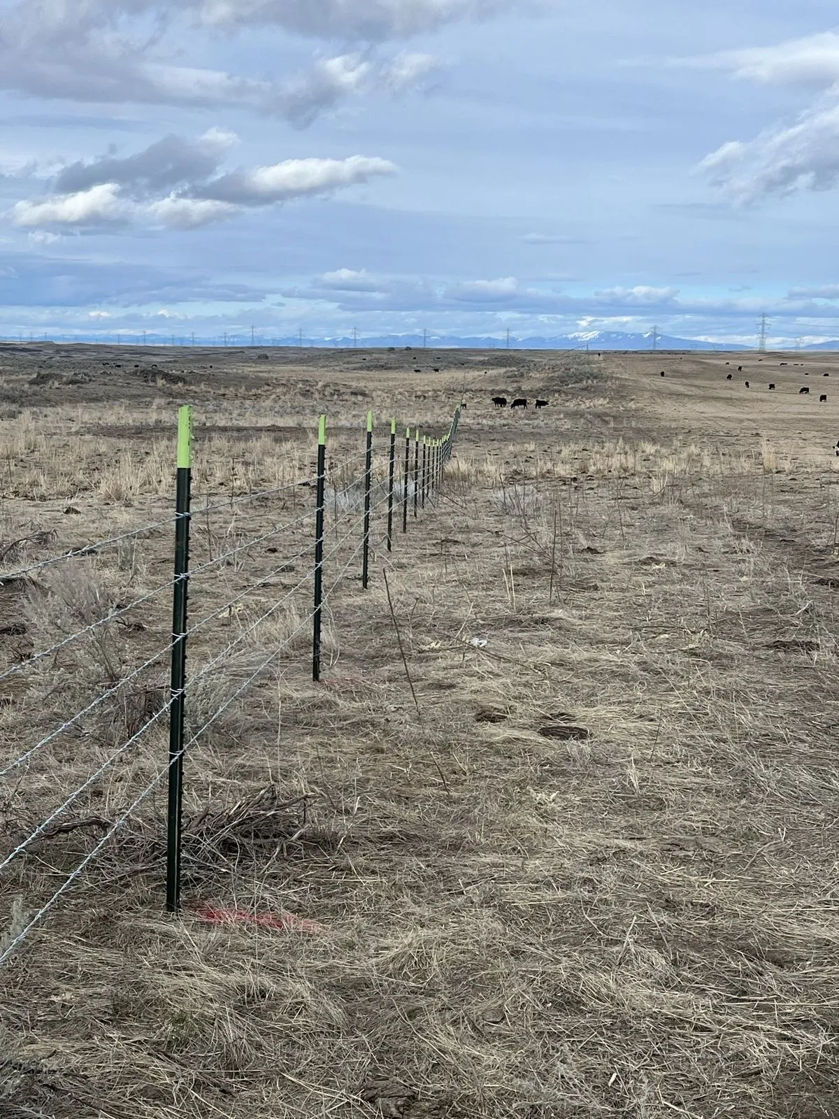 New barbed wire fence on green-topped steel T-posts stretching across open rangeland toward distant mountains