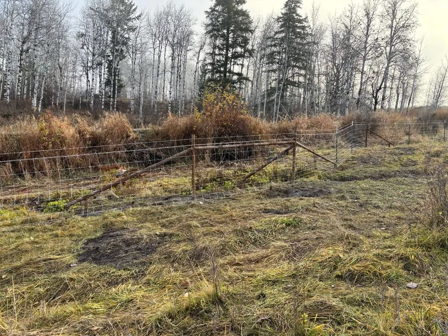 New woven wire fence with a wooden H-brace running past dry grass and a stand of aspen trees