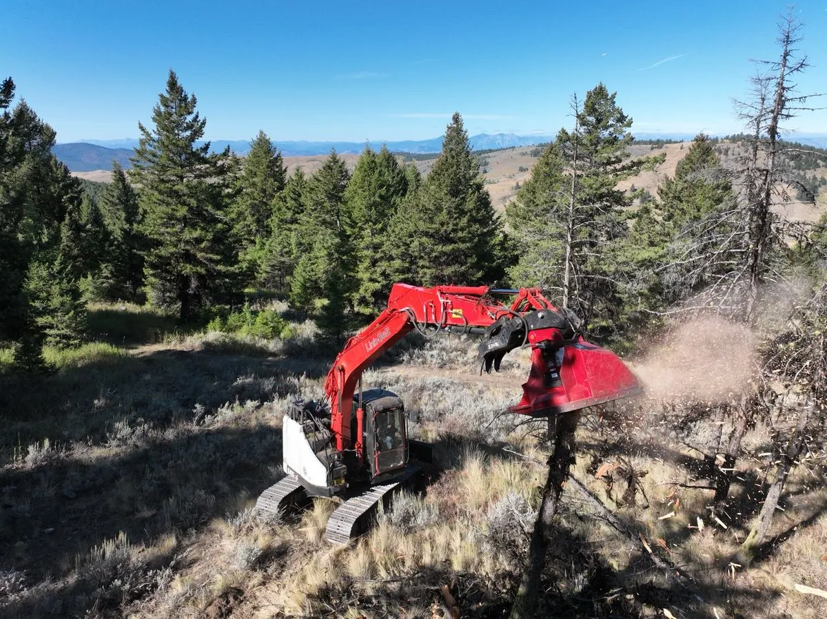 Red excavator with a mulching head clearing brush and small trees on a forested hillside to reduce wildfire fuel