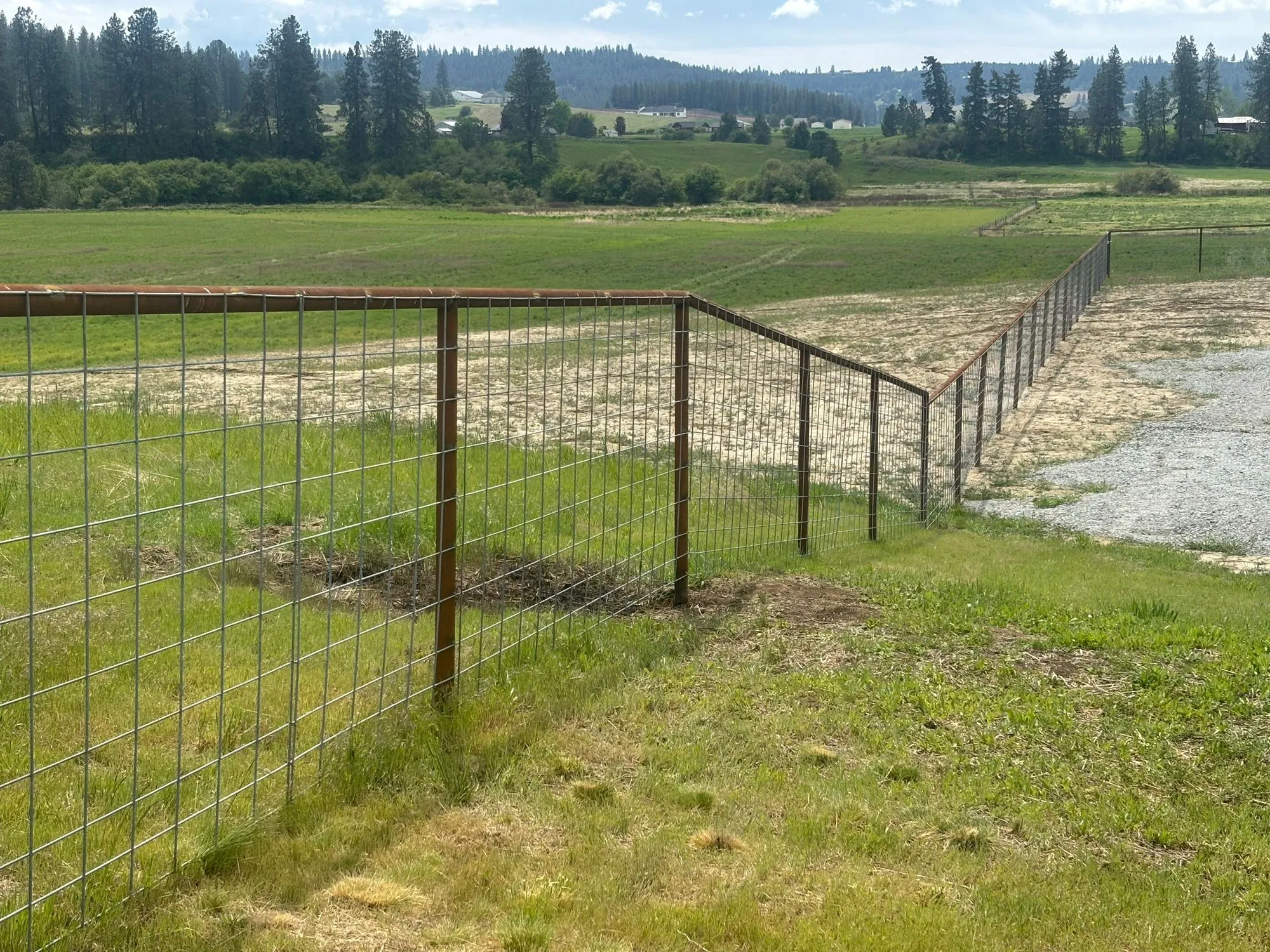 Welded wire fence with a rust-brown steel pipe top rail bordering a green pasture
