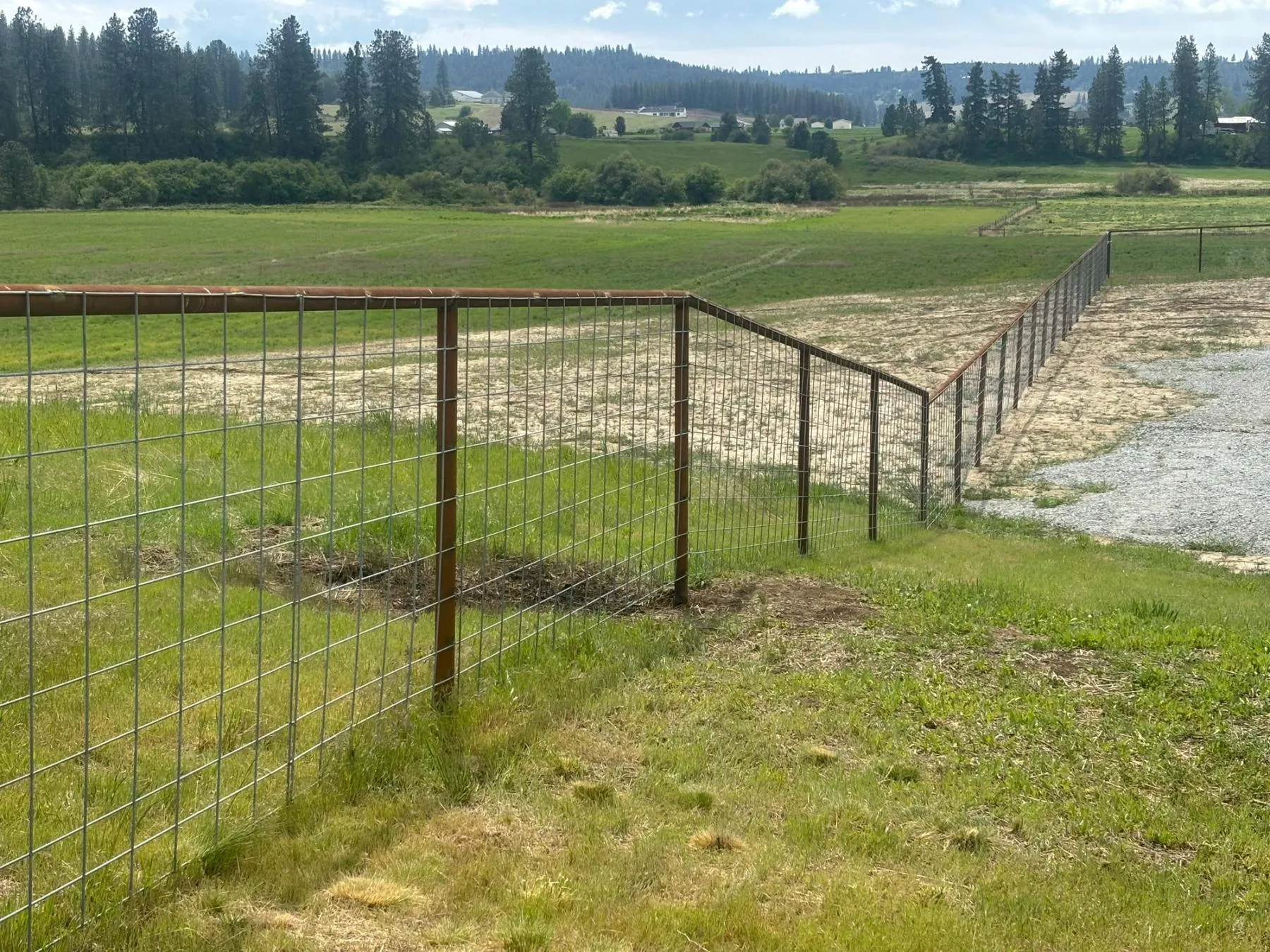 Welded wire fence with a rust-brown steel pipe top rail bordering a green pasture and gravel drive