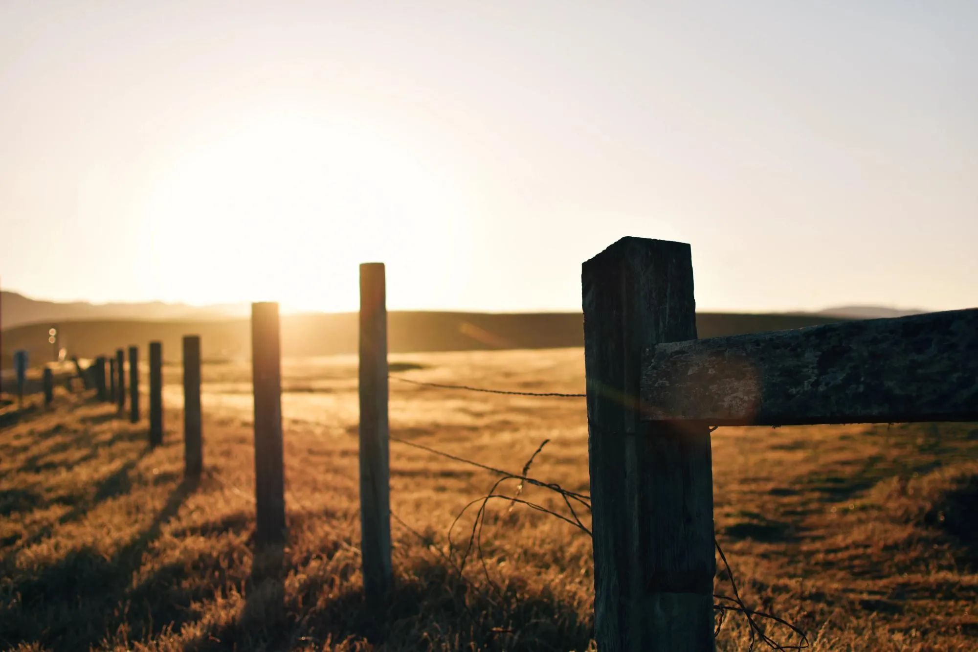Wooden fence posts lit by sunrise over an open pasture